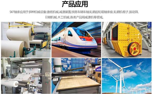 CARB圓環滾子軸承用途